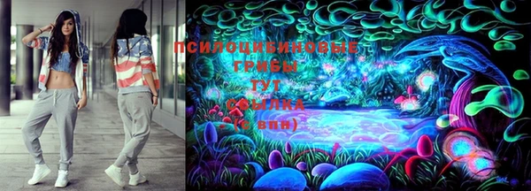 СК Алзамай