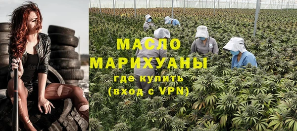 молекула духа Няндома