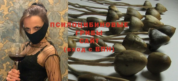 бутират Алексин