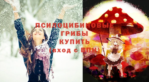СК Алзамай
